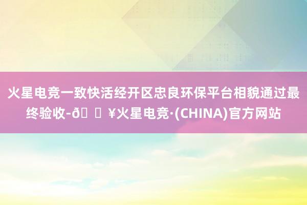 火星电竞一致快活经开区忠良环保平台相貌通过最终验收-🔥火星电竞·(CHINA)官方网站