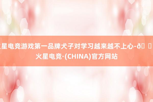 火星电竞游戏第一品牌犬子对学习越来越不上心-🔥火星电竞·(CHINA)官方网站