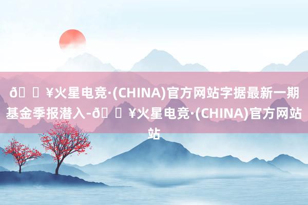 🔥火星电竞·(CHINA)官方网站字据最新一期基金季报潜入-🔥火星电竞·(CHINA)官方网站