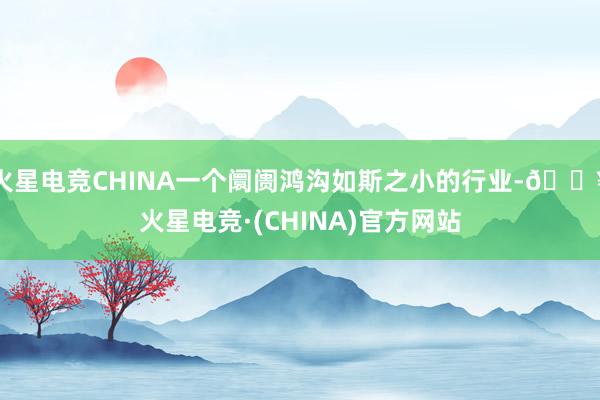 火星电竞CHINA一个阛阓鸿沟如斯之小的行业-🔥火星电竞·(CHINA)官方网站